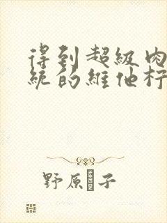 得到超级肉禽系统的维他柠檬茶封面