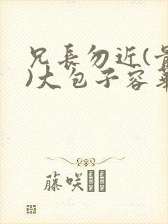 兄长勿近(骨科)大包子容华封面