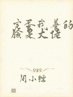 完蛋我养的小白脸是大佬封面
