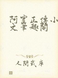 阿宾正传小说全文笔趣阁