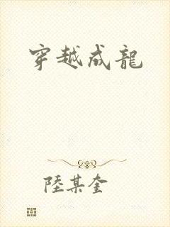 穿越成龙封面