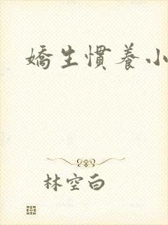 娇生惯养小说