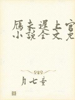 雁未迟上官穿越小说全文免费阅读