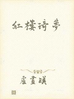 红楼琦梦