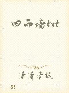 四面墙txt