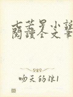 七芒星小说免费阅读全文笔趣阁