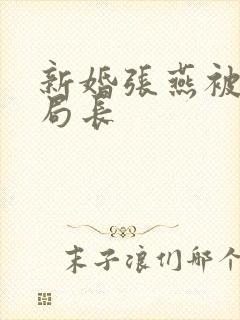 新婚张燕被两个局长封面