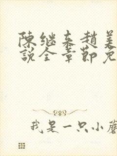 陈继来赵美媛小说全章节免费阅读封面