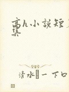 高h小说短篇合集封面