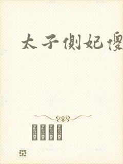 太子侧妃傻乎乎