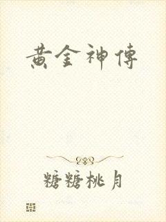 黄金神传封面