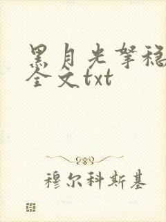 黑月光拿稳小说全文txt