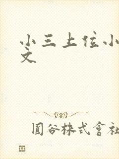 小三上位小说全文封面