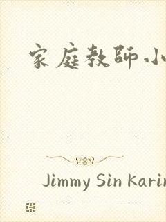 家庭教师小说封面