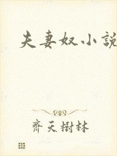 夫妻奴小说封面