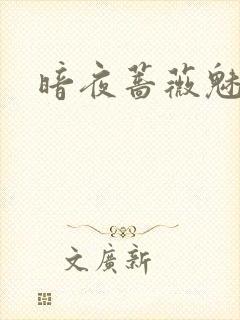 暗夜蔷薇魅