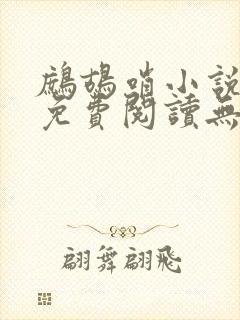 鹧鸪哨小说网站免费阅读无弹窗