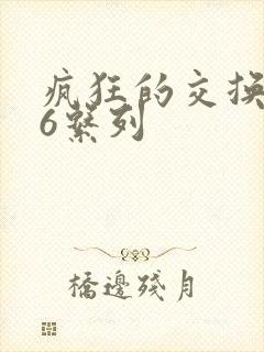 疯狂的交换1一6系列