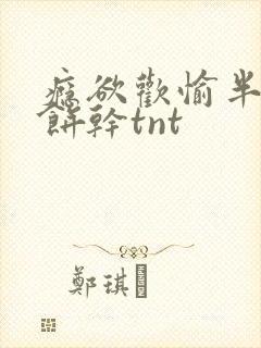 瘾欲欢愉半块小饼干tnt