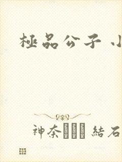极品公子 小说封面