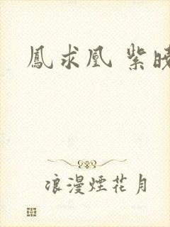 凤求凰 紫晓