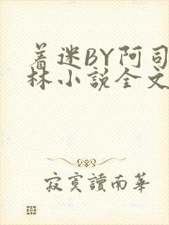 着迷BY阿司匹林小说全文免费阅读