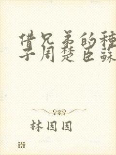借兄弟的种生孩子周楚臣苏糖