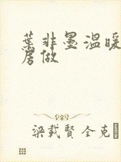 叶非墨温暖在厨房做