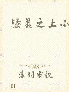 膝盖之上小说
