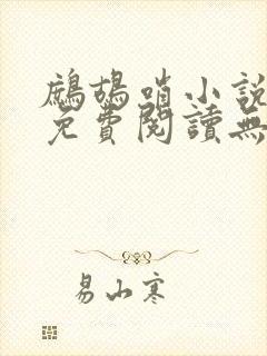 鹧鸪哨小说网站免费阅读无弹窗