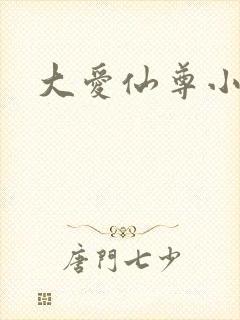 大爱仙尊小说
