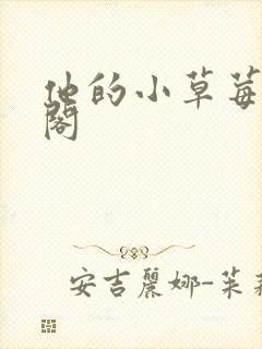 他的小草莓笔趣阁