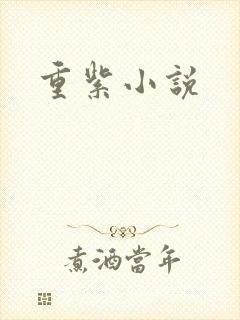 重紫小说封面