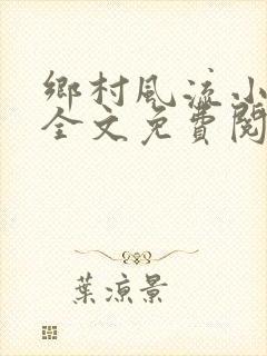 乡村风流小傻子全文免费阅读封面