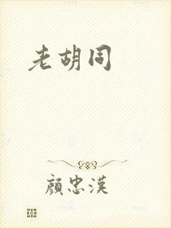 老胡同