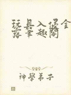 玩具入侵金银花露笔趣阁