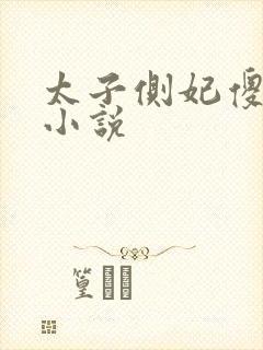 太子侧妃傻乎乎小说封面
