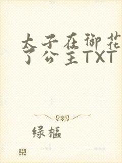 太子在御花园要了公主TXT封面