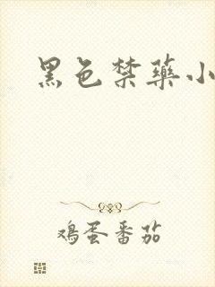 黑色禁药小说