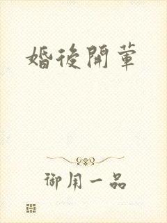 婚后开荤封面