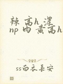 辣 高h 浓 np 肉 黄高h