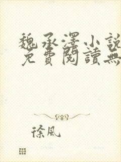 魏承泽小说全文免费阅读无弹窗笔趣