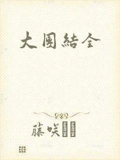 大团结全