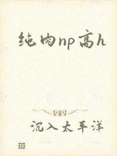 纯肉np高h
