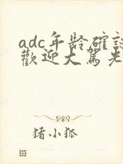 adc年龄确认欢迎大驾光临小说封面