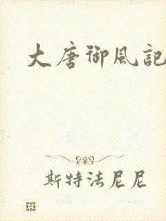 大唐御风记