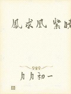 凤求凰 紫晓