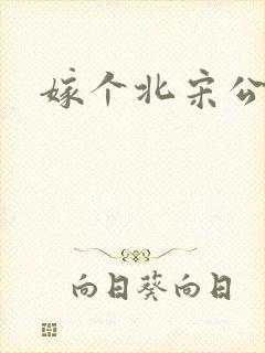 嫁个北宋公务员