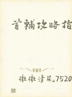 首辅攻略指南