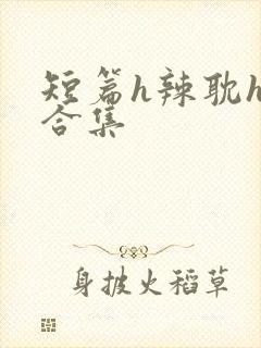 短篇h辣耽h文合集封面